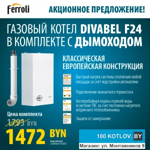 Акция на газовый котел Ferroli DIVABEL F 24 до 1 октября!