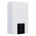 Газовый котел Thermex Blaze FH24