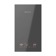 Газовый котел Thermex Antares FH24