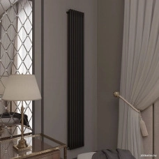 Радиатор стальной Faberg Garmonia 2/25 (4 секции, черный матовый RAL-9005)